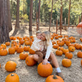 Pumpkin Patch Crew Sweatshirts | Matching Family Fall Sweatshirts | Beige Fall Hoodie | Pumpkin Patch Outfit | Cozy Autumn Family sweater